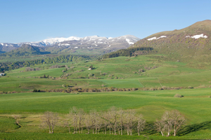 Couvreur Cournon-d'Auvergne